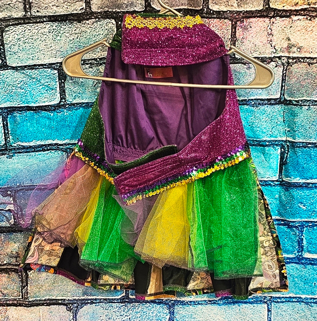 Fleur De Lis pet dress, Glitter embroidered Mardi Gras Pet Dress, Mardi Gras Pet Costume