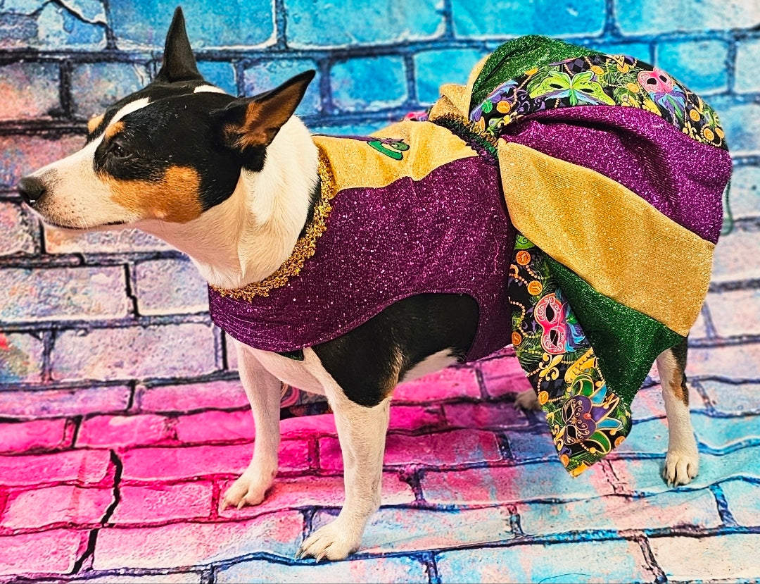 Fleur De Lis pet dress, Glitter embroidered Mardi Gras Pet Dress, Mardi Gras Pet Costume