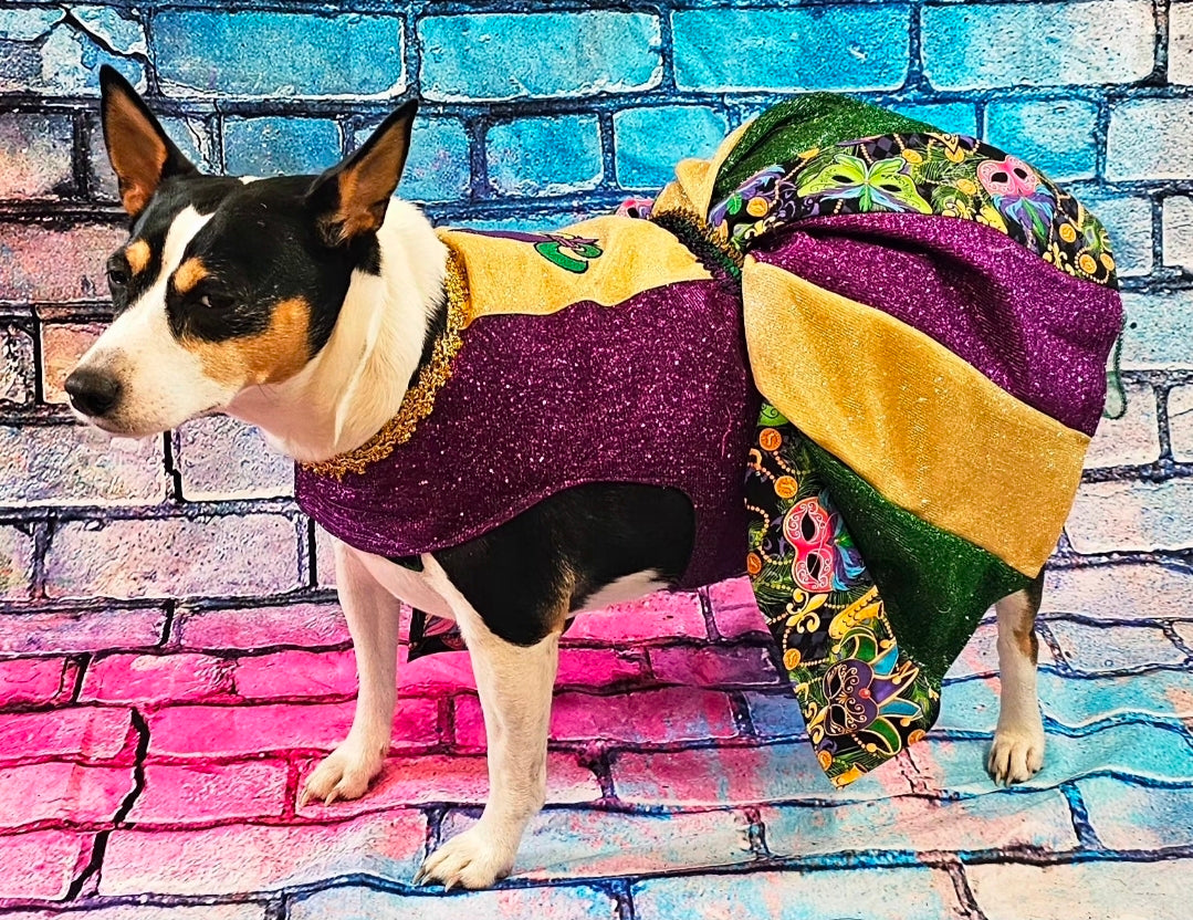 Fleur De Lis pet dress, Glitter embroidered Mardi Gras Pet Dress, Mardi Gras Pet Costume