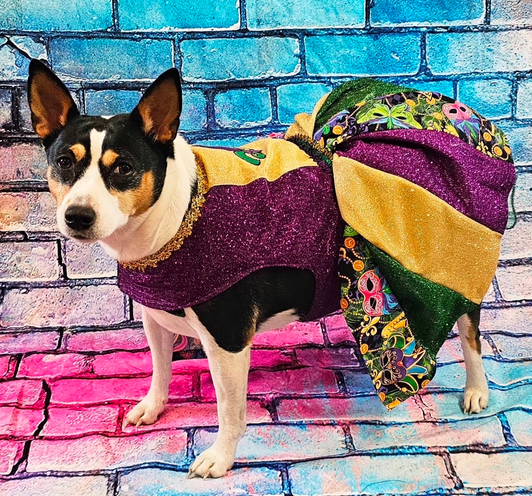 Fleur De Lis pet dress, Glitter embroidered Mardi Gras Pet Dress, Mardi Gras Pet Costume