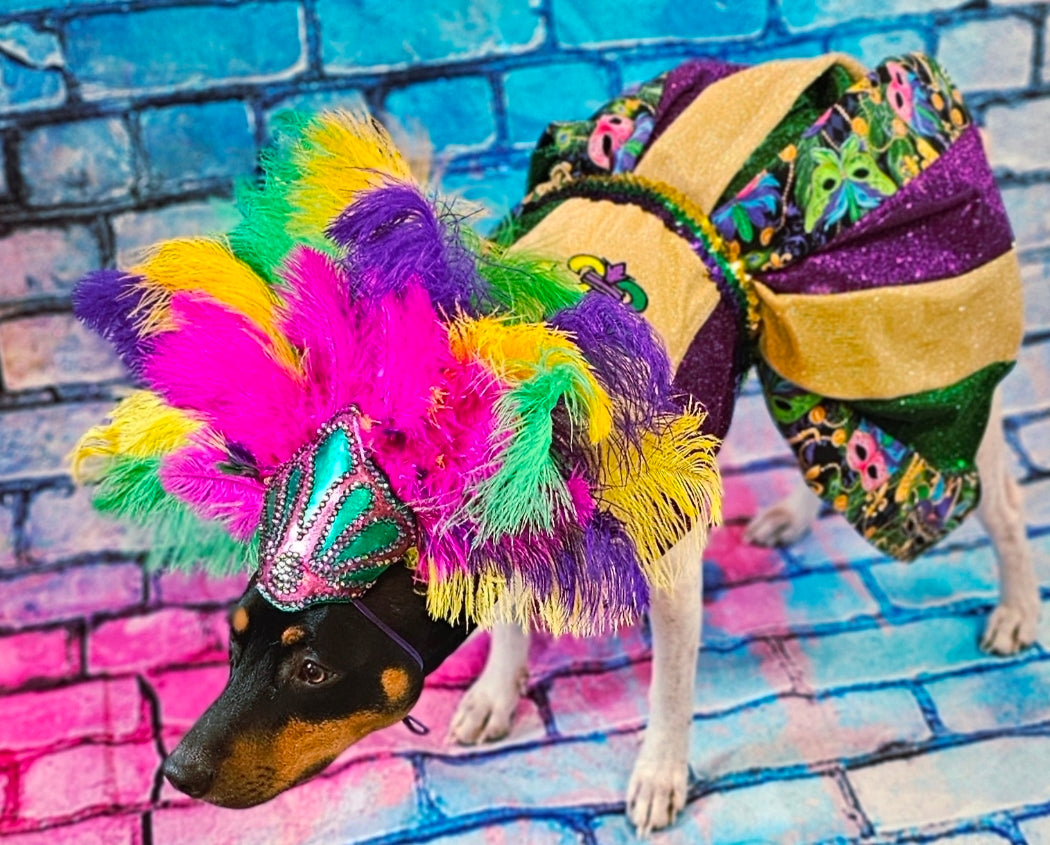 Fleur De Lis pet dress, Glitter embroidered Mardi Gras Pet Dress, Mardi Gras Pet Costume