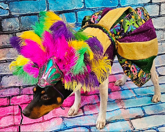 Fleur De Lis pet dress, Glitter embroidered Mardi Gras Pet Dress, Mardi Gras Pet Costume