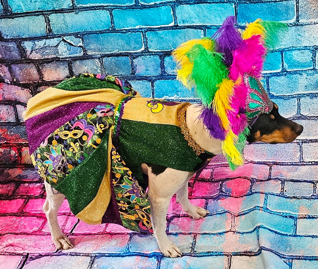 Fleur De Lis pet dress, Glitter embroidered Mardi Gras Pet Dress, Mardi Gras Pet Costume