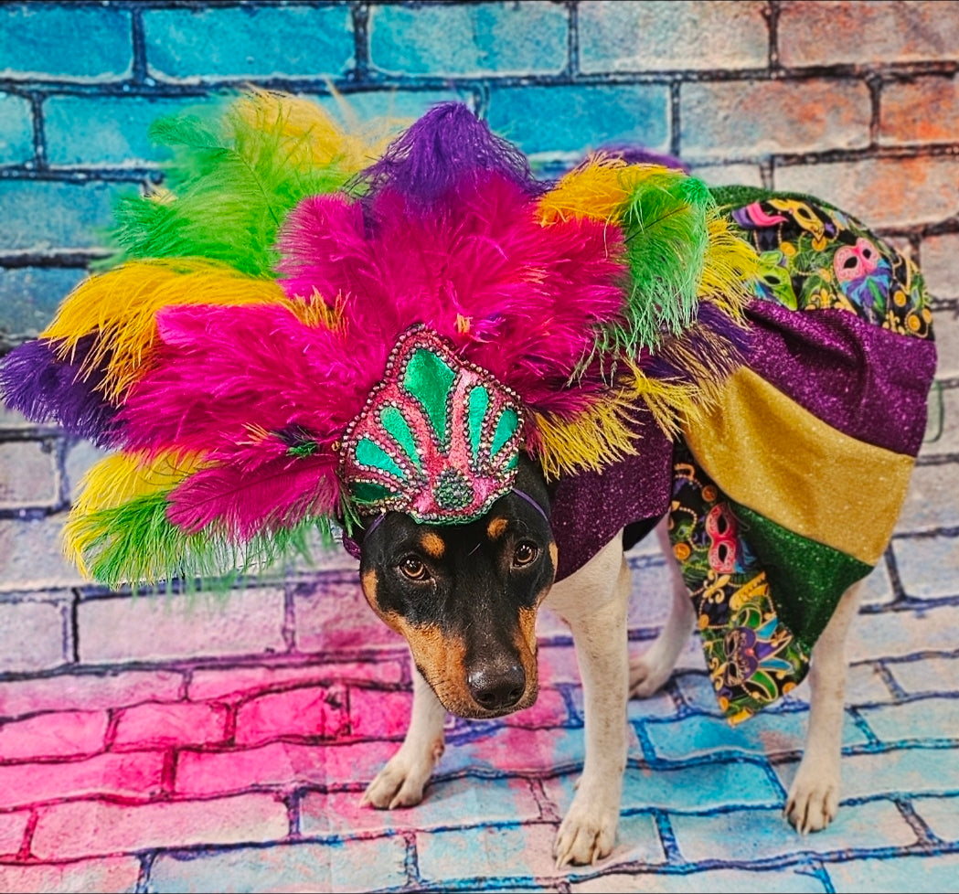Fleur De Lis pet dress, Glitter embroidered Mardi Gras Pet Dress, Mardi Gras Pet Costume