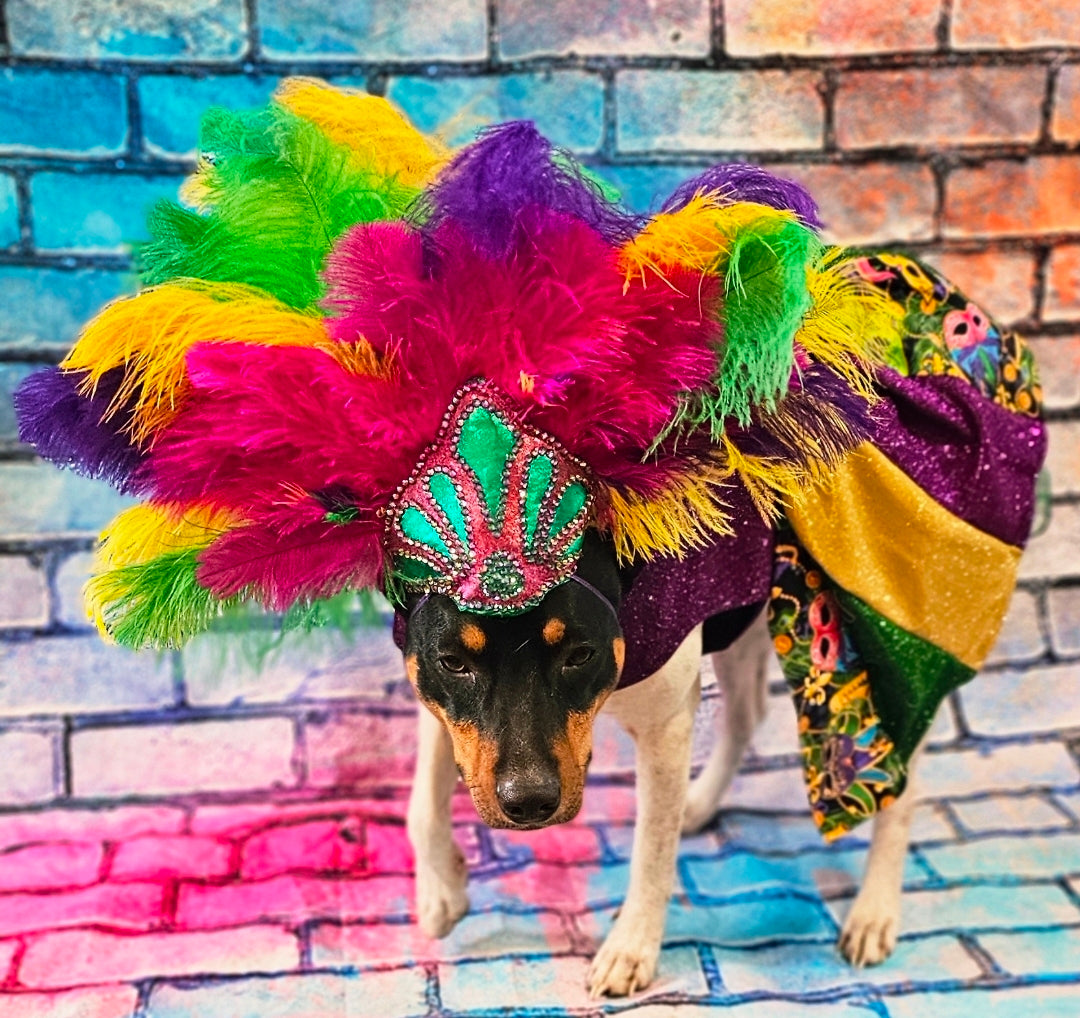Fleur De Lis pet dress, Glitter embroidered Mardi Gras Pet Dress, Mardi Gras Pet Costume