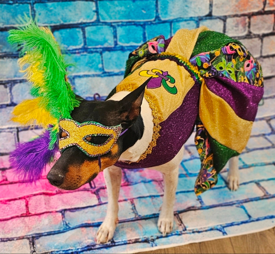 Fleur De Lis pet dress, Glitter embroidered Mardi Gras Pet Dress, Mardi Gras Pet Costume