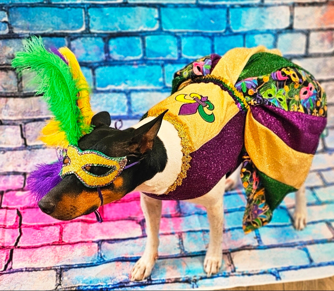 Fleur De Lis pet dress, Glitter embroidered Mardi Gras Pet Dress, Mardi Gras Pet Costume