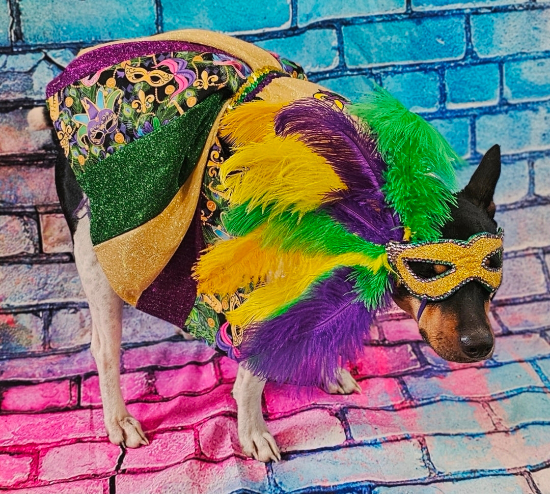Fleur De Lis pet dress, Glitter embroidered Mardi Gras Pet Dress, Mardi Gras Pet Costume