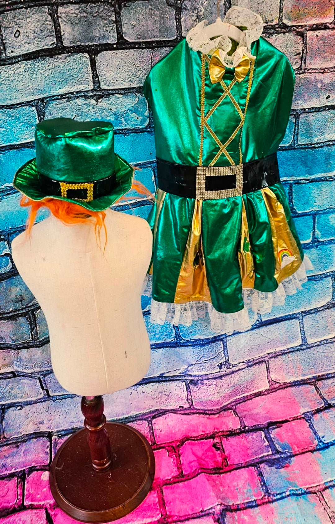Leprechaun St. Patrick's Day pet costume
