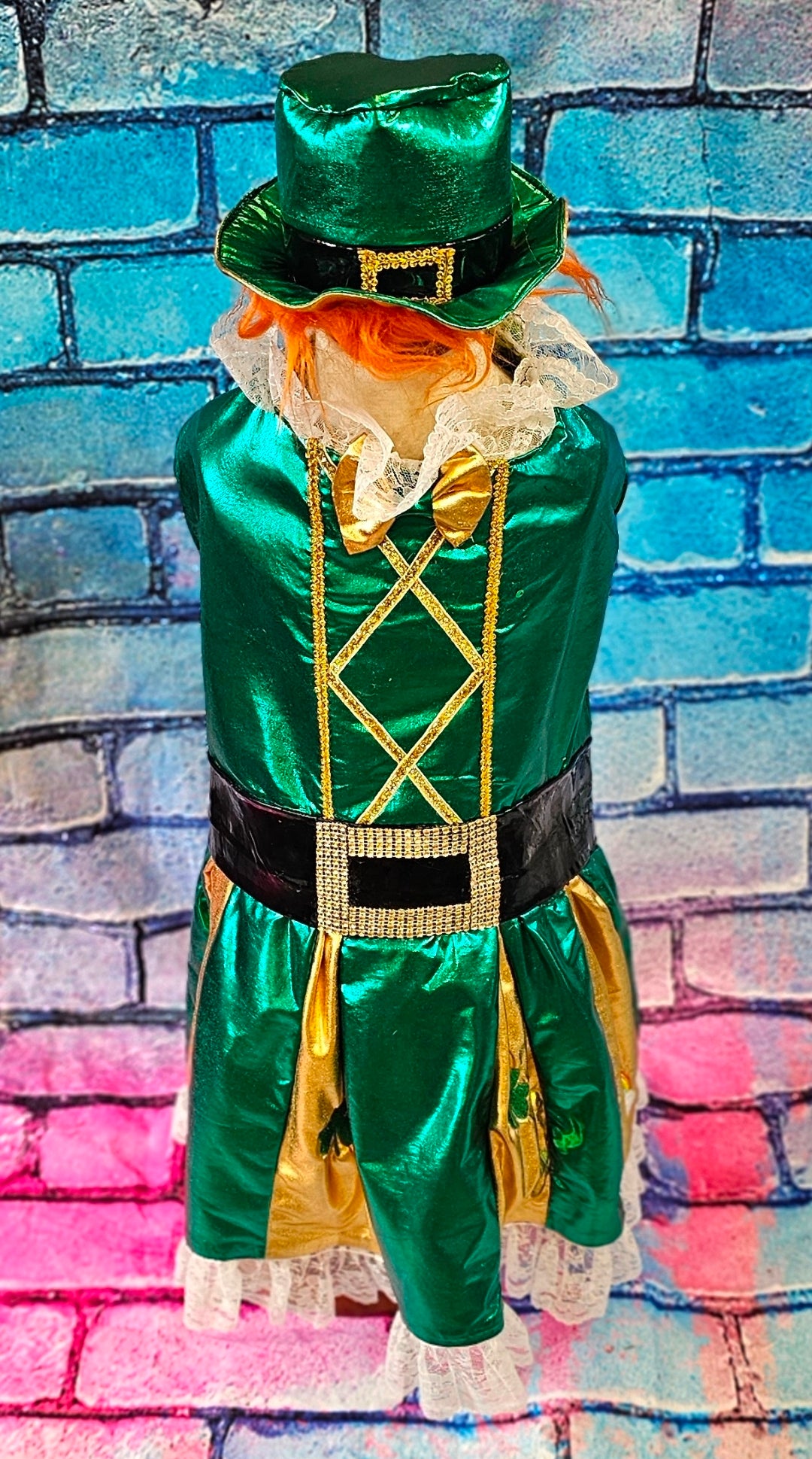 Leprechaun St. Patrick's Day pet costume