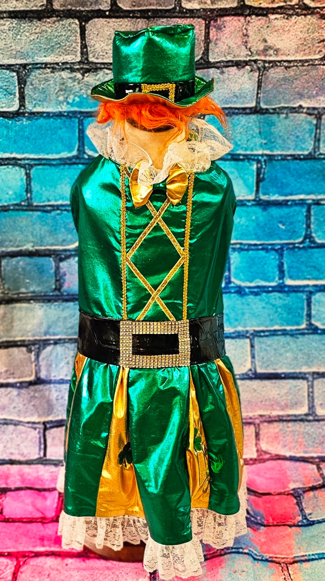 Leprechaun St. Patrick's Day pet costume