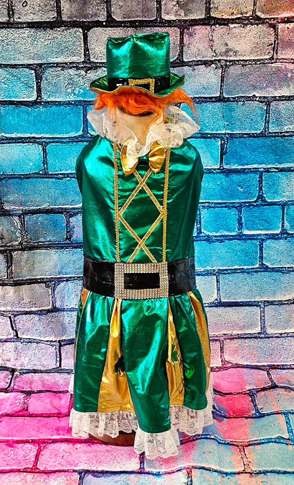Leprechaun St. Patrick's Day pet costume