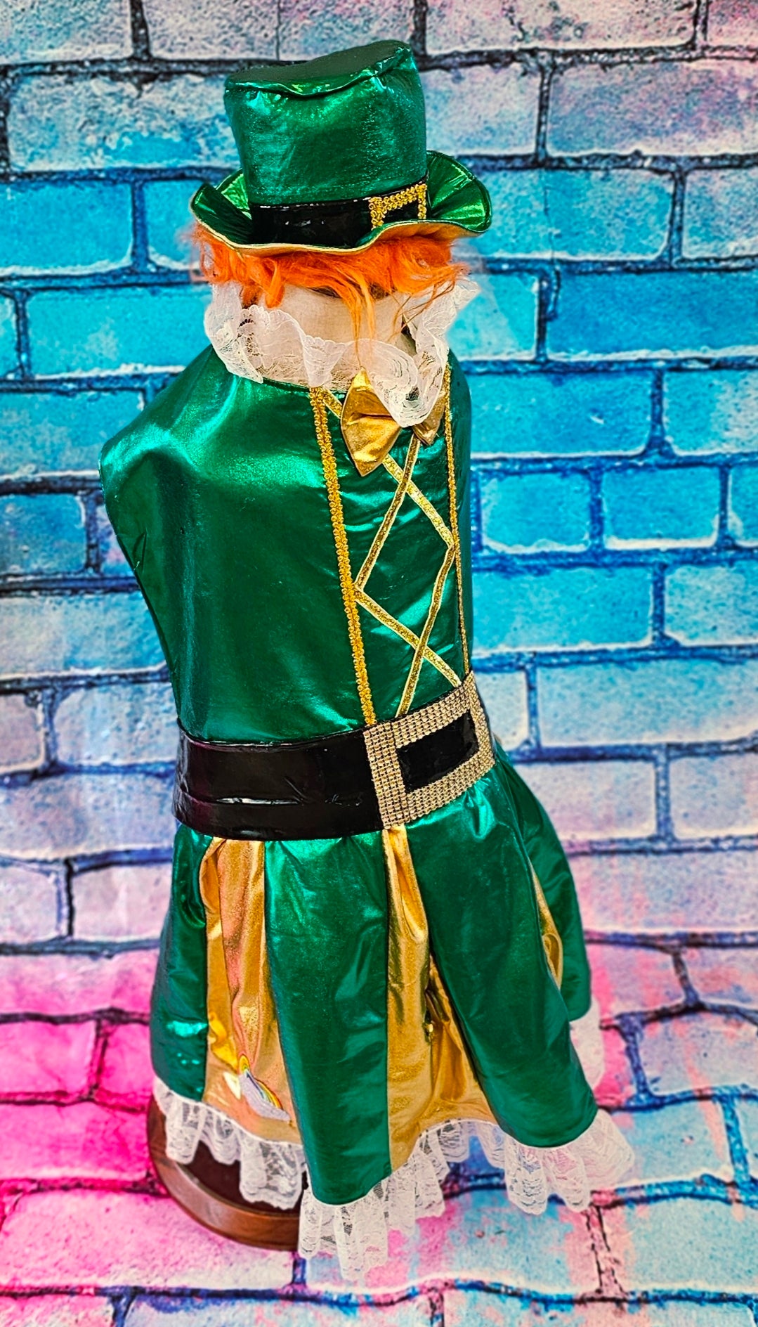 Leprechaun St. Patrick's Day pet costume