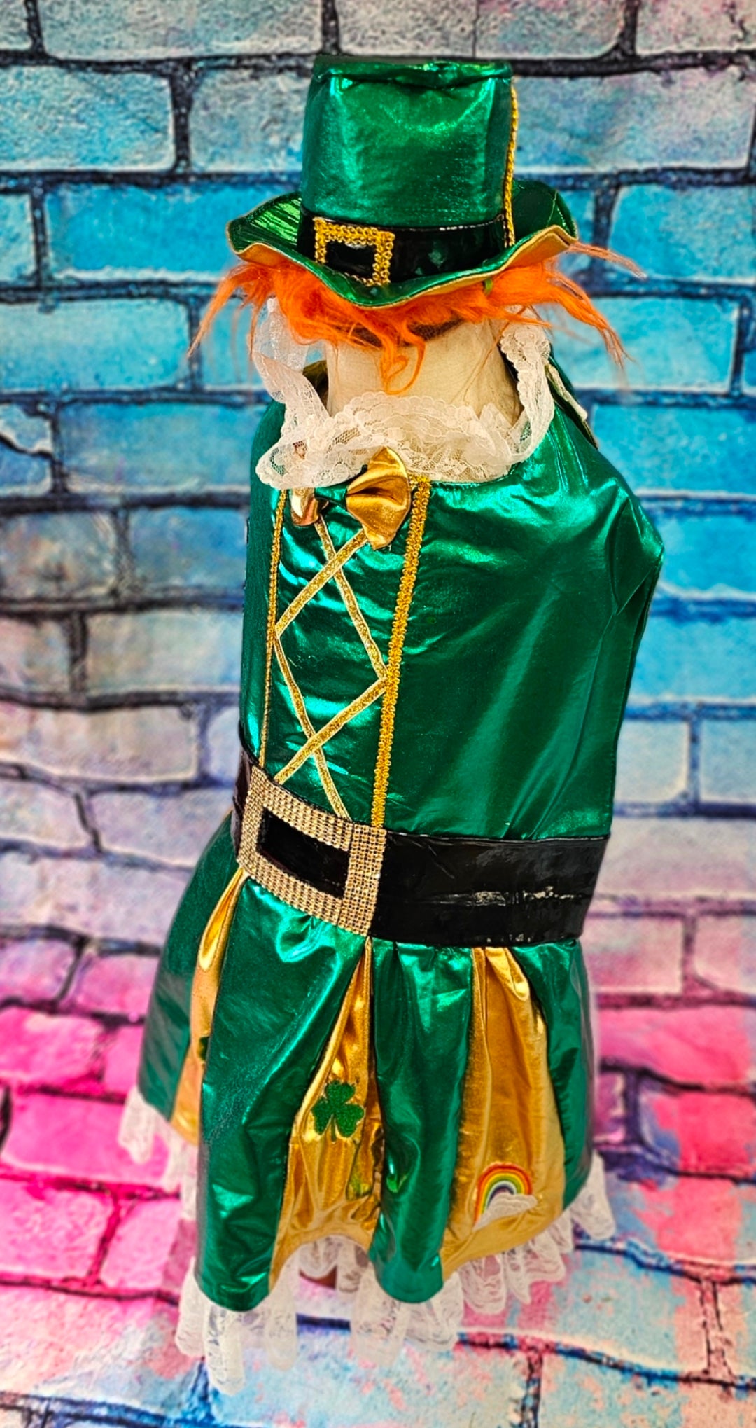 Leprechaun St. Patrick's Day pet costume