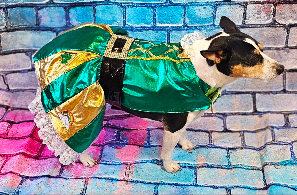 Leprechaun St. Patrick's Day pet costume