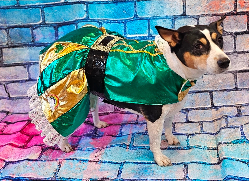 Leprechaun St. Patrick's Day pet costume