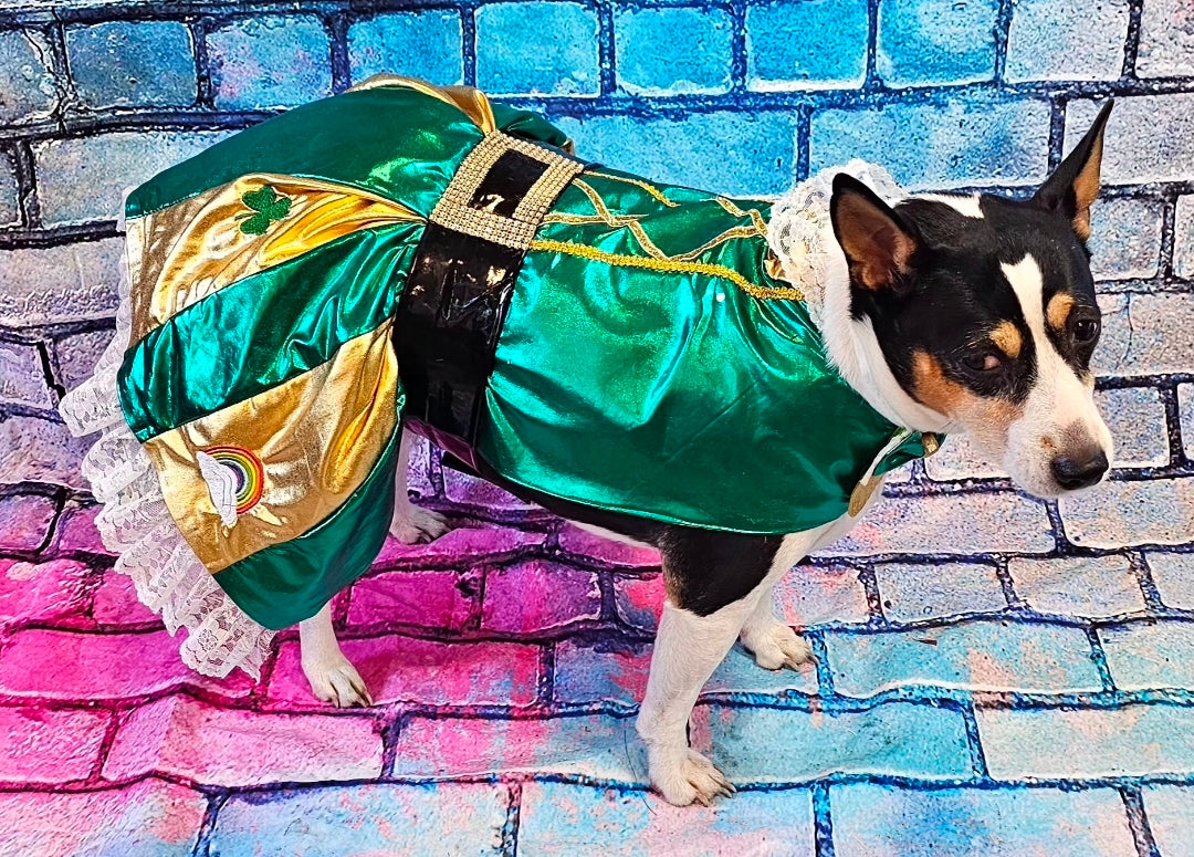 Leprechaun St. Patrick's Day pet costume