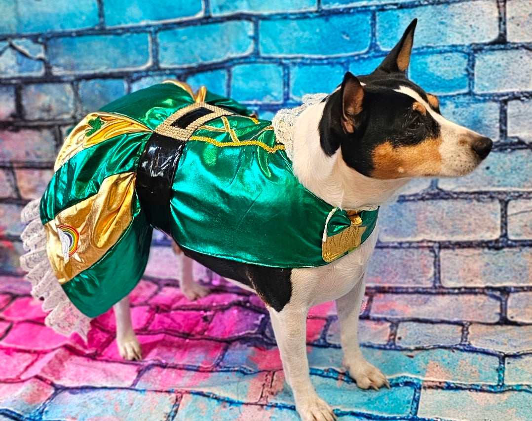 Leprechaun St. Patrick's Day pet costume