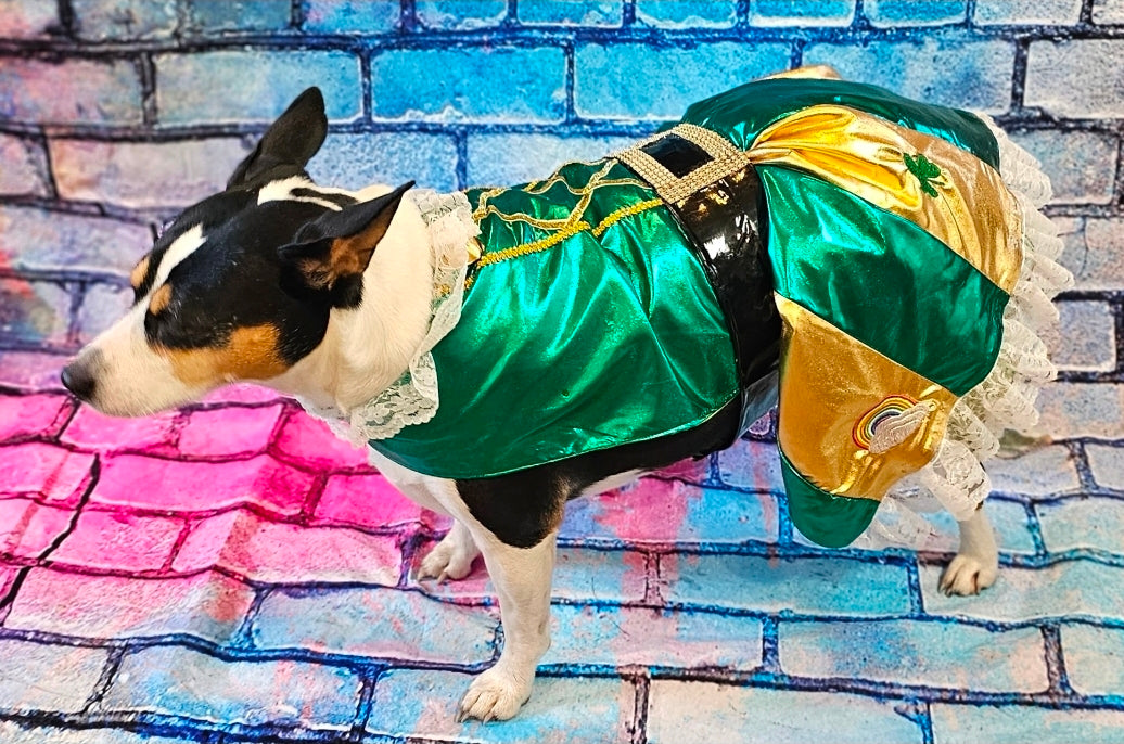 Leprechaun St. Patrick's Day pet costume