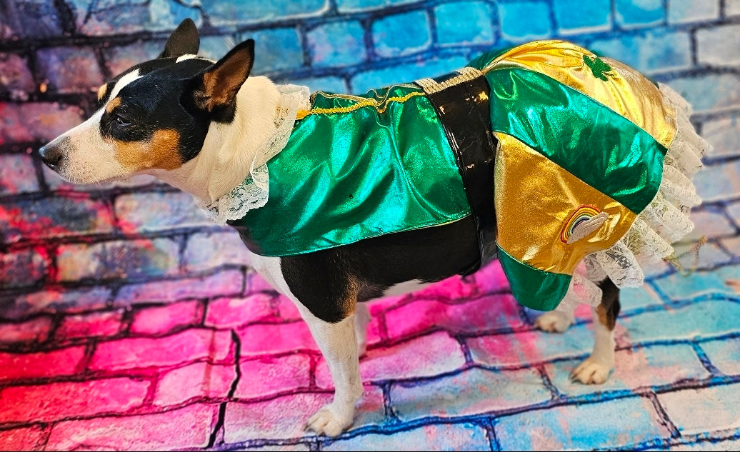 Leprechaun St. Patrick's Day pet costume