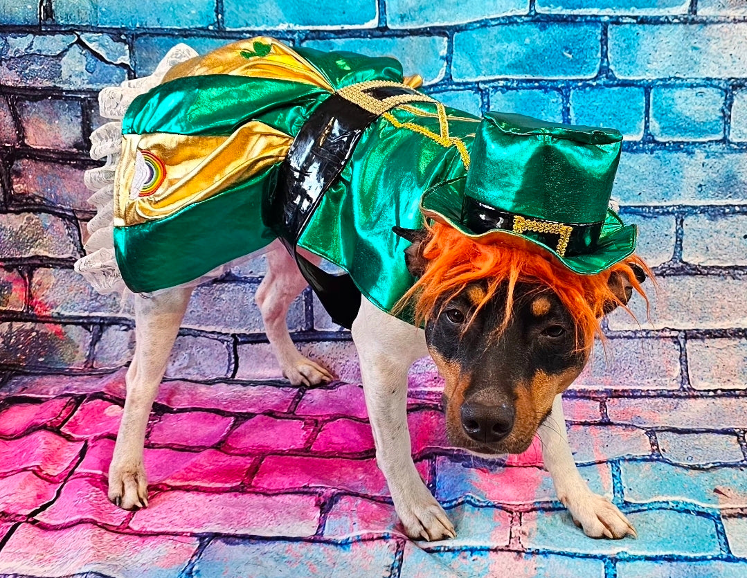 Leprechaun St. Patrick's Day pet costume