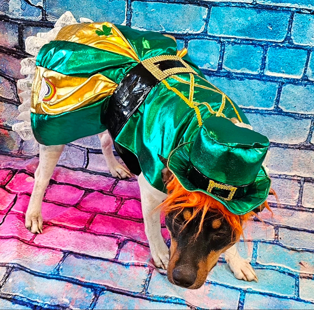 Leprechaun St. Patrick's Day pet costume