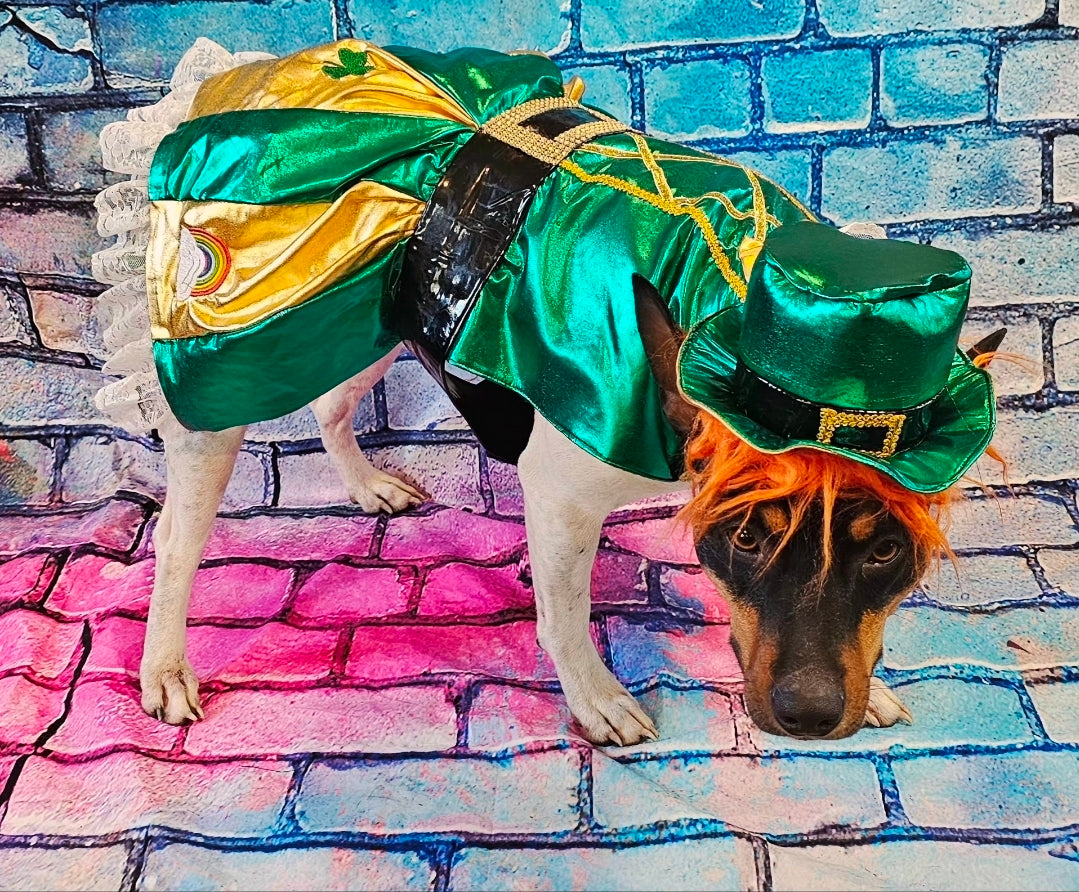 Leprechaun St. Patrick's Day pet costume