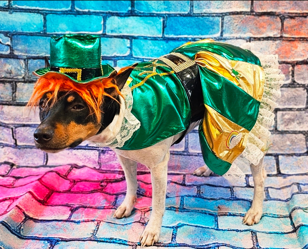 Leprechaun St. Patrick's Day pet costume