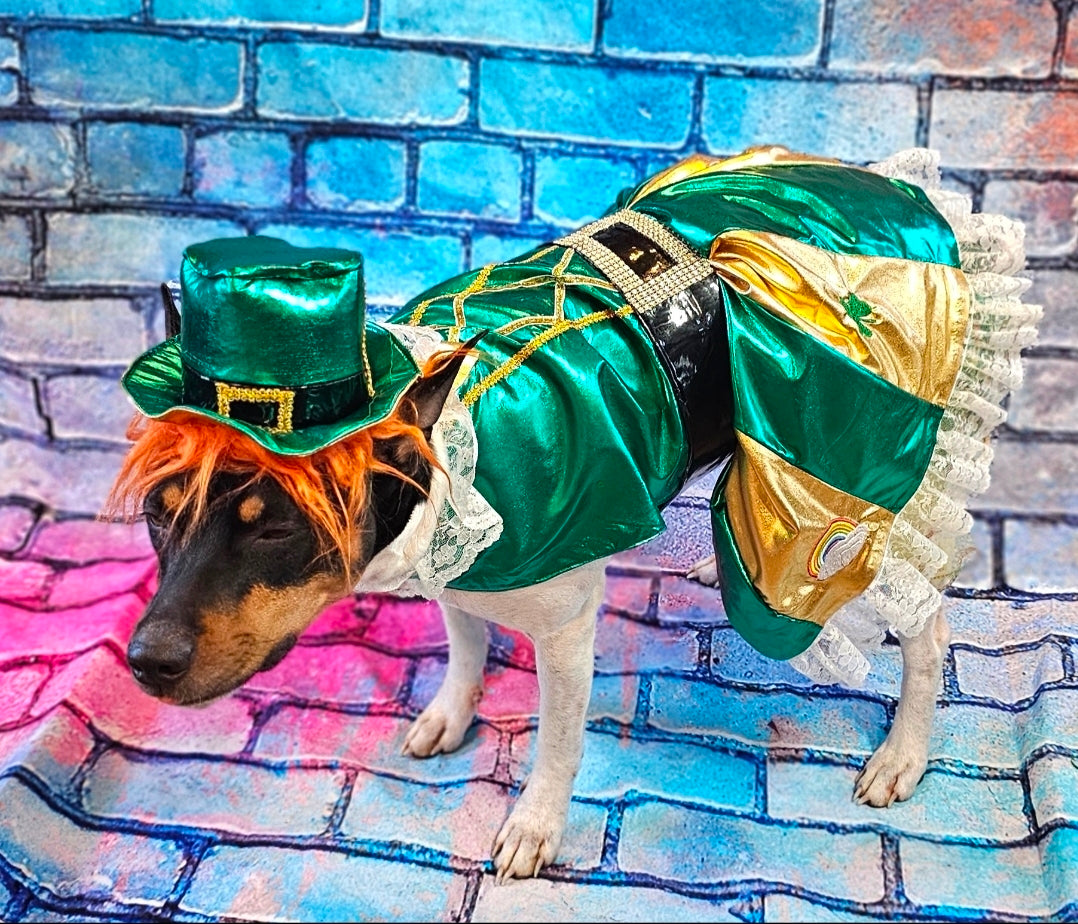 Leprechaun St. Patrick's Day pet costume