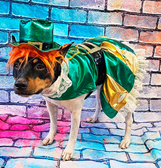 Leprechaun St. Patrick's Day pet costume