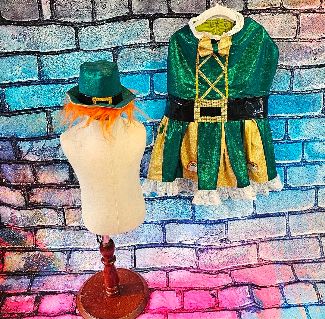 Leprechaun St. Patrick's Day pet costume, Leprechaun pet dress