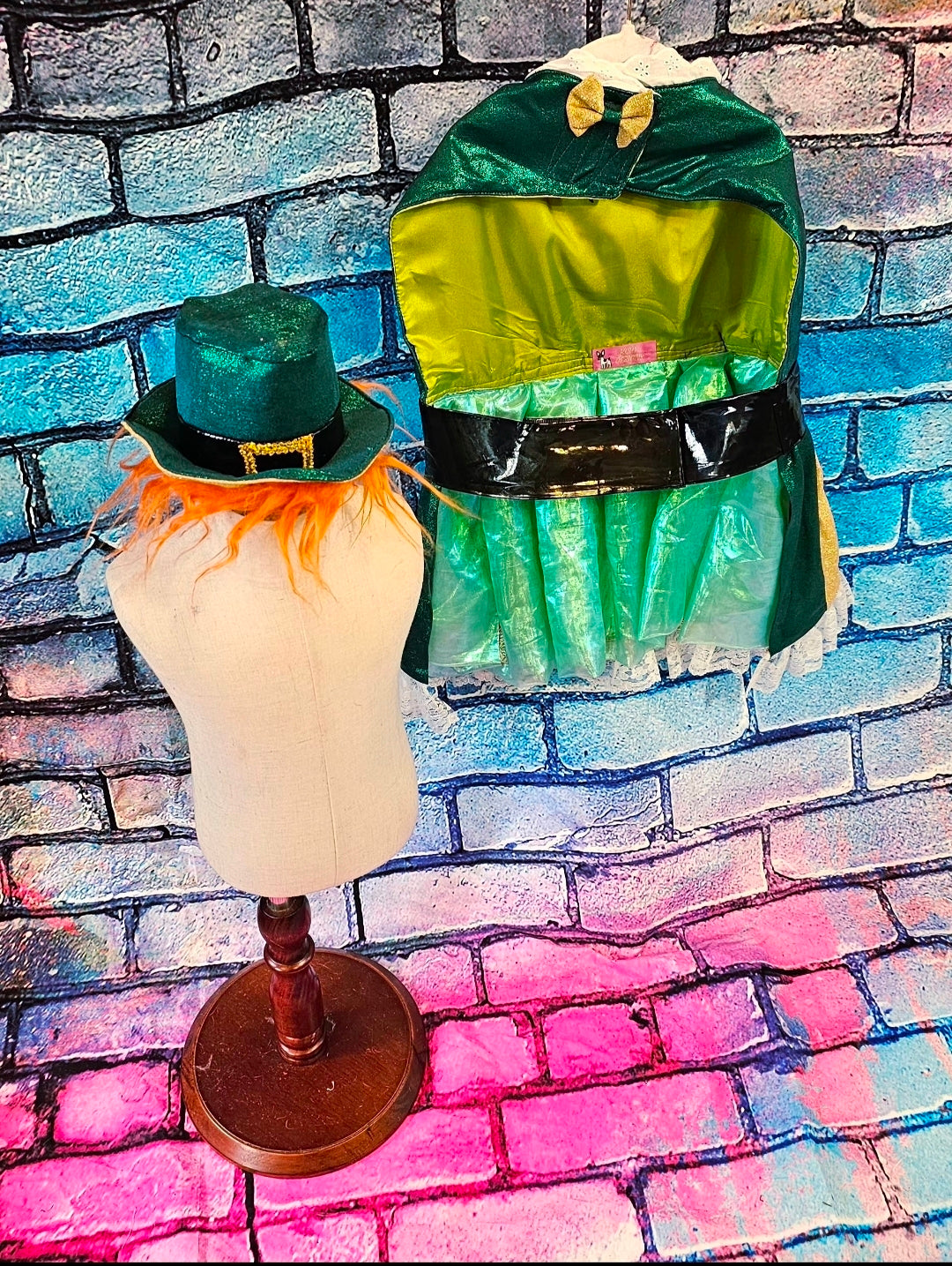 Leprechaun St. Patrick's Day pet costume, Leprechaun pet dress