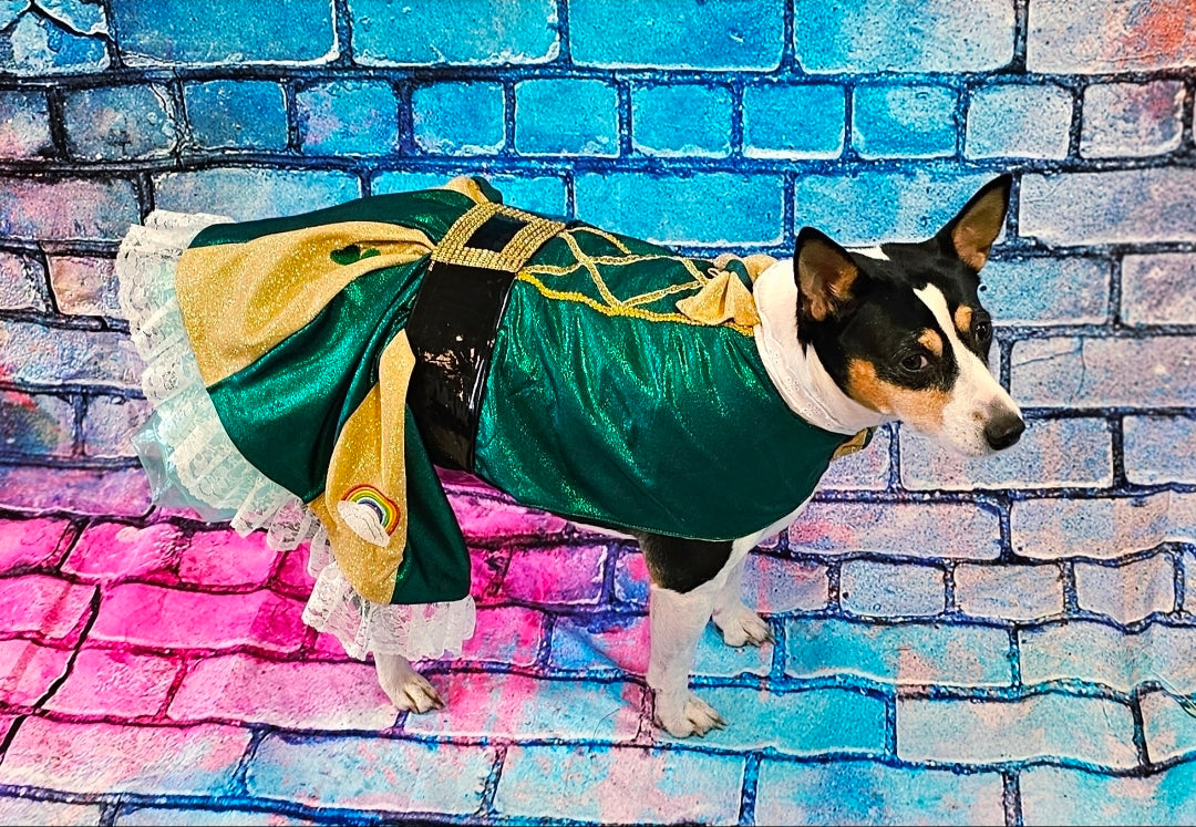 Leprechaun St. Patrick's Day pet costume, Leprechaun pet dress