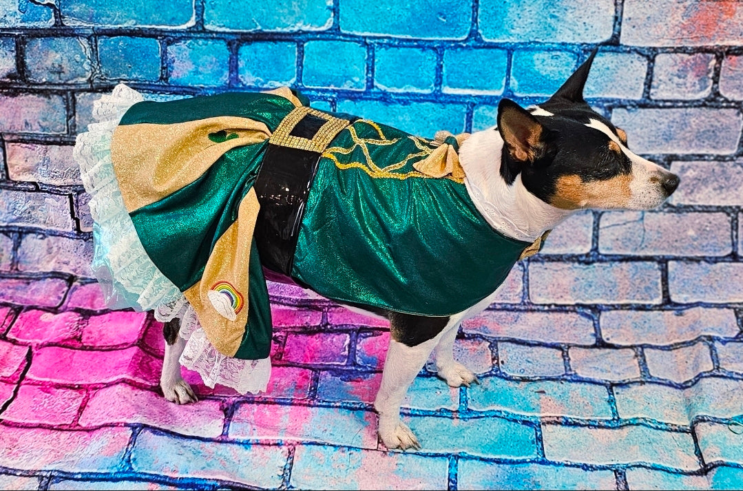 Leprechaun St. Patrick's Day pet costume, Leprechaun pet dress