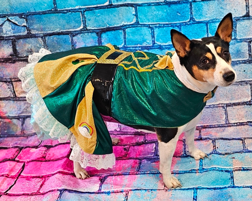 Leprechaun St. Patrick's Day pet costume, Leprechaun pet dress