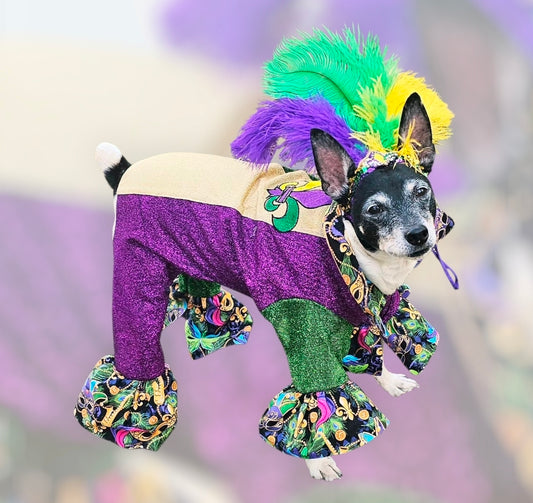 Mardi Gras pet suit, glitter Mardi Gras pet costume, Fleur De Lis pet costume
