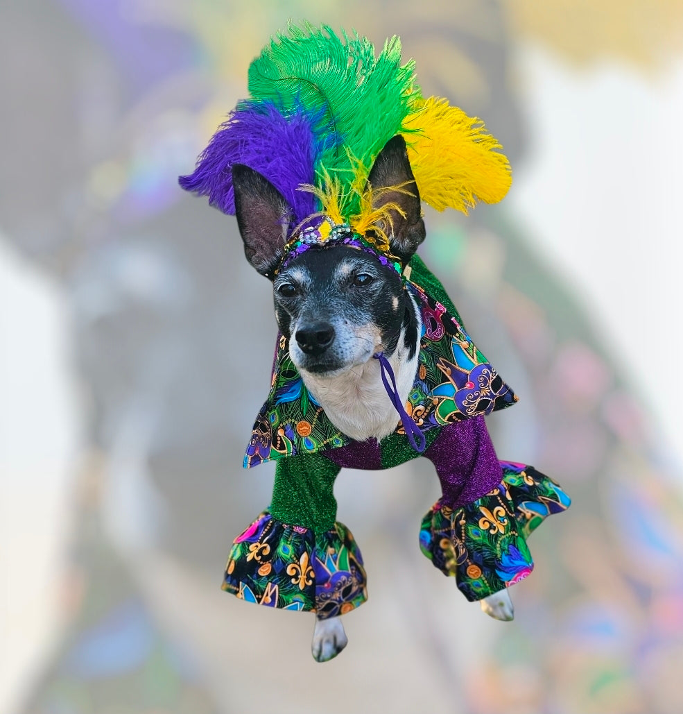 Mardi Gras pet suit, glitter Mardi Gras pet costume, Fleur De Lis pet costume