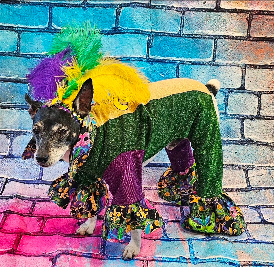 Mardi Gras pet suit, glitter Mardi Gras pet costume, Fleur De Lis pet costume