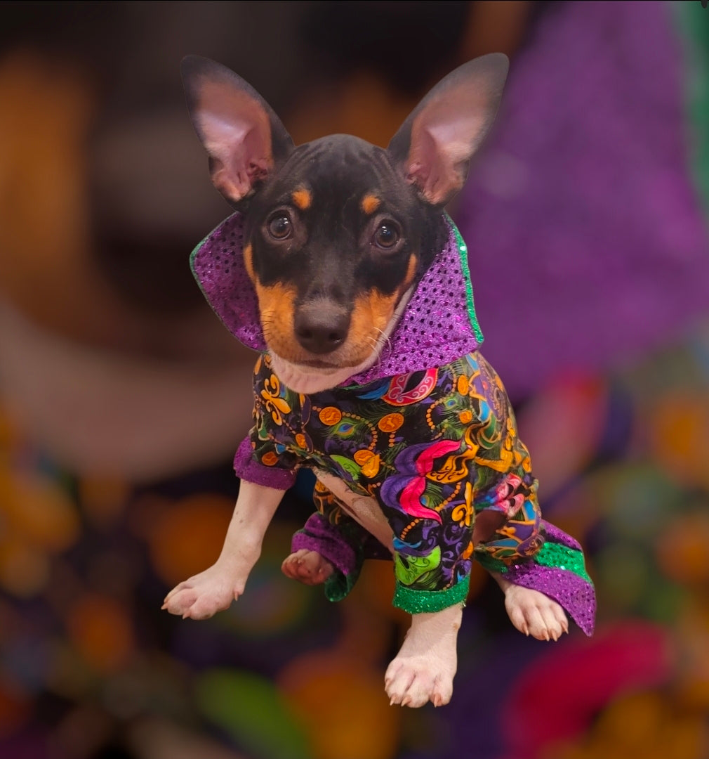 Mardi Gras Pet body suit, Mardi Gras sequin pet body suit, Mardi Gras Pet costume