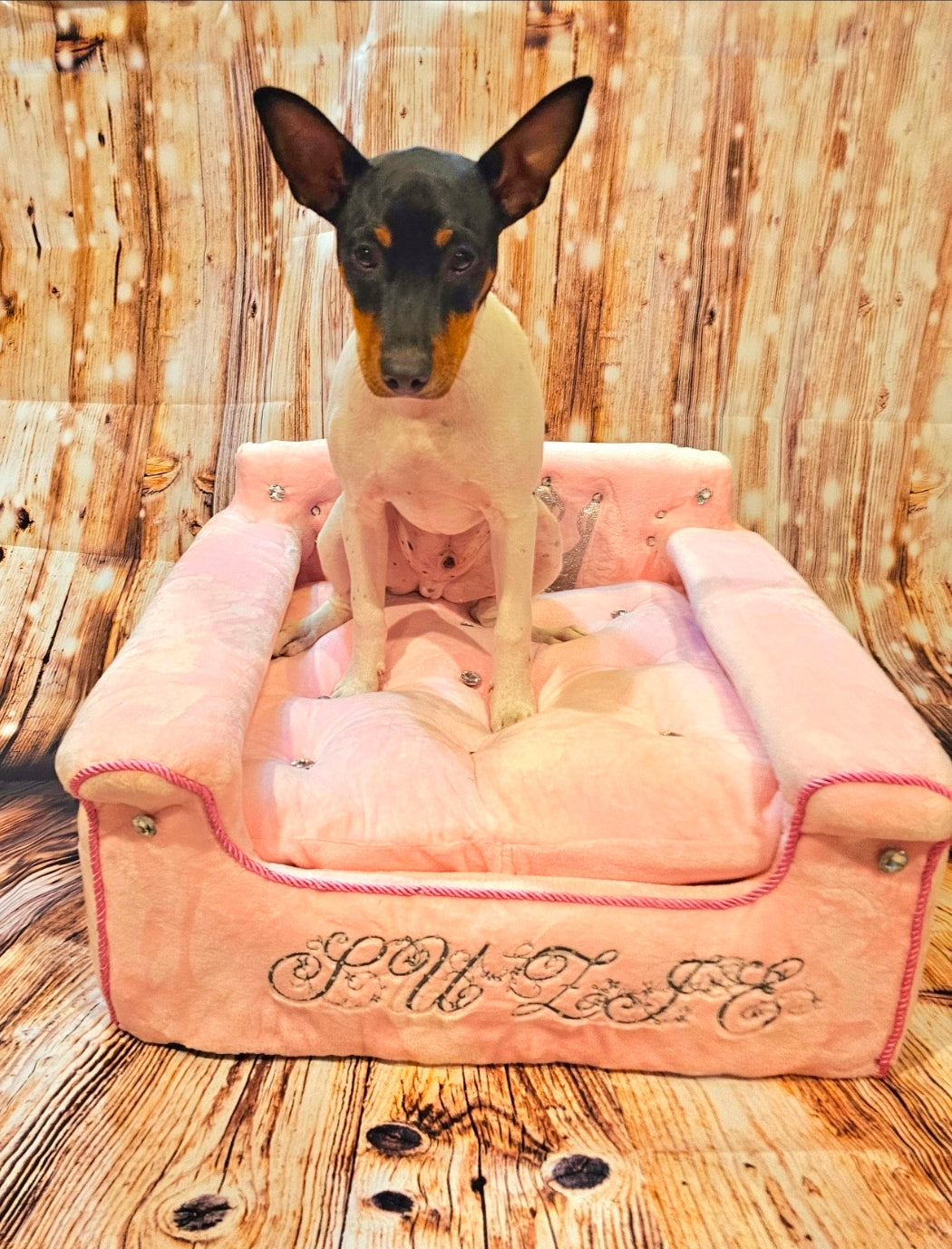 Princess luxury pet bed, personalized pet bed, princess dog bed