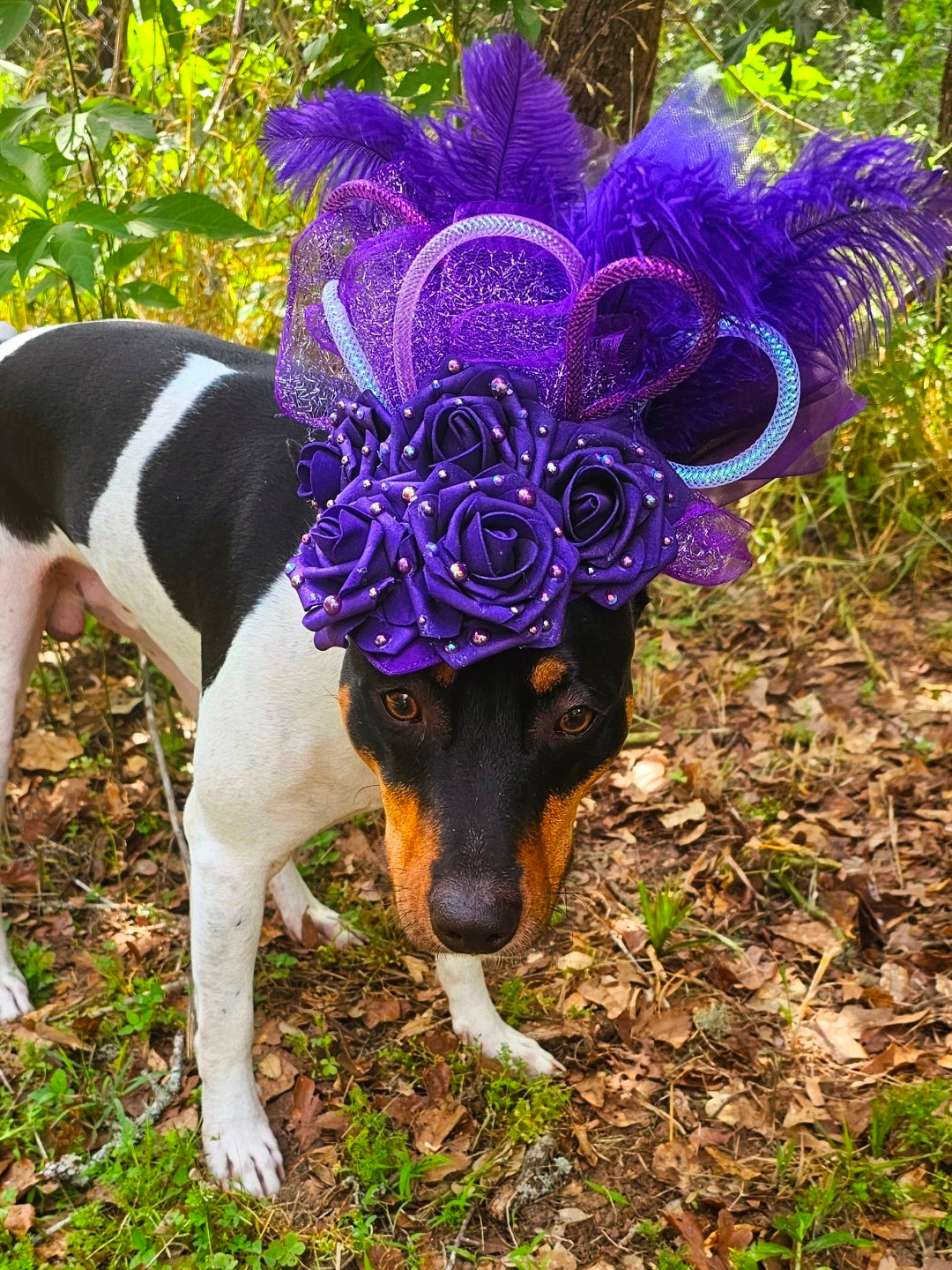 Kentucky Derby flower pet fasinator hat, Kentucky derby Pet Hat, Dog fasinator