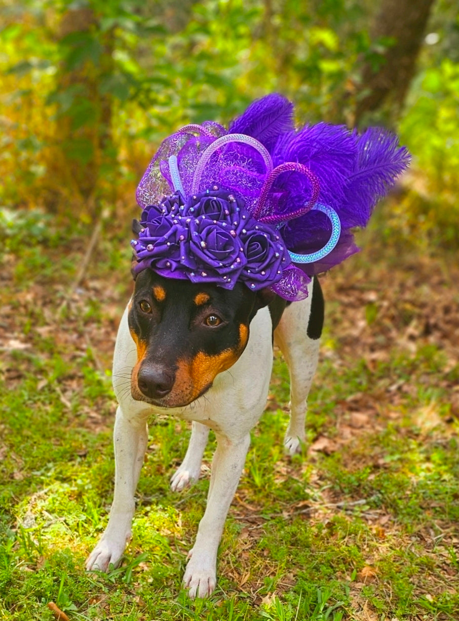 Kentucky Derby flower pet fasinator hat, Kentucky derby Pet Hat, Dog fasinator