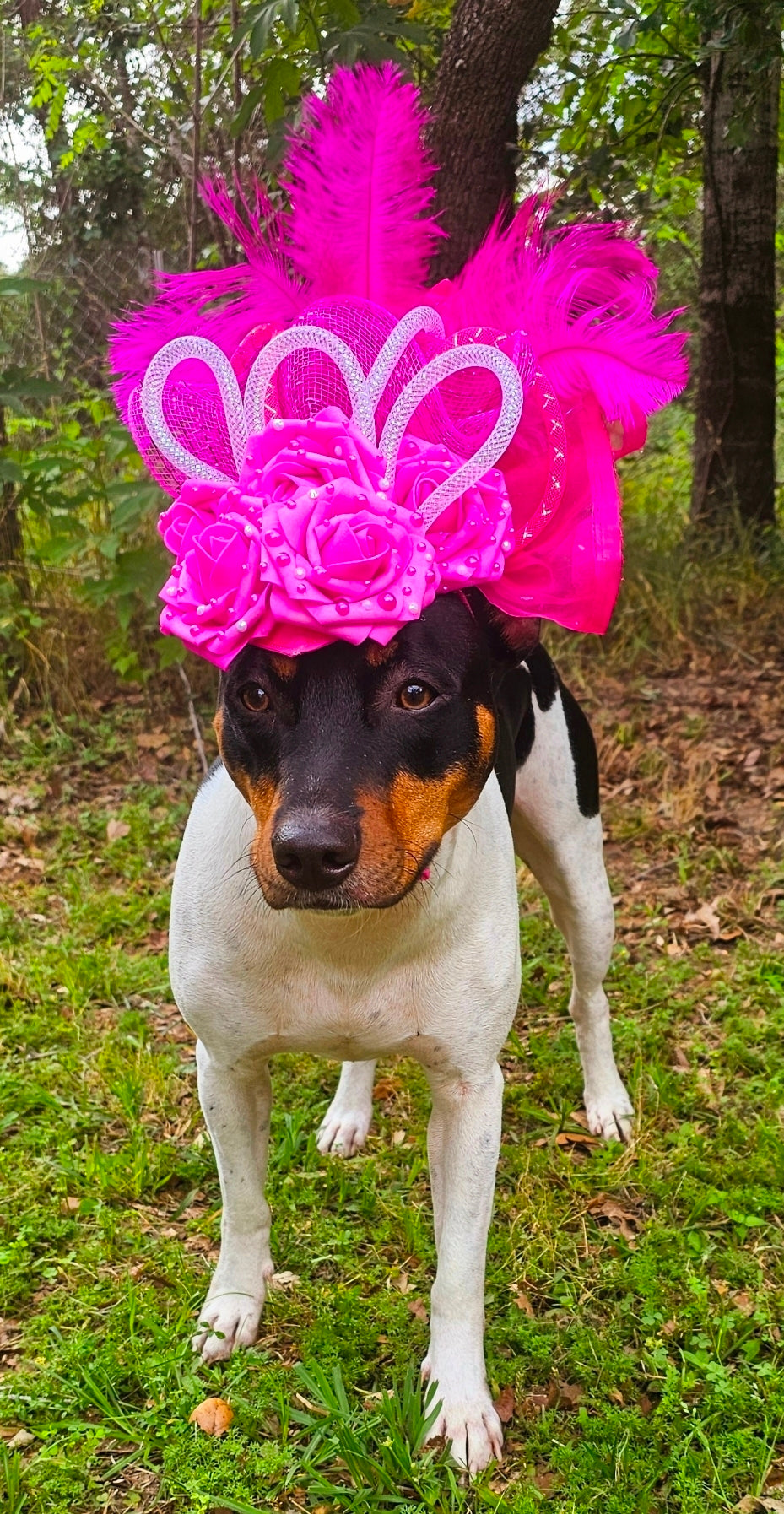 Kentucky Derby flower pet fasinator hat, Kentucky derby Pet Hat, Dog fasinator