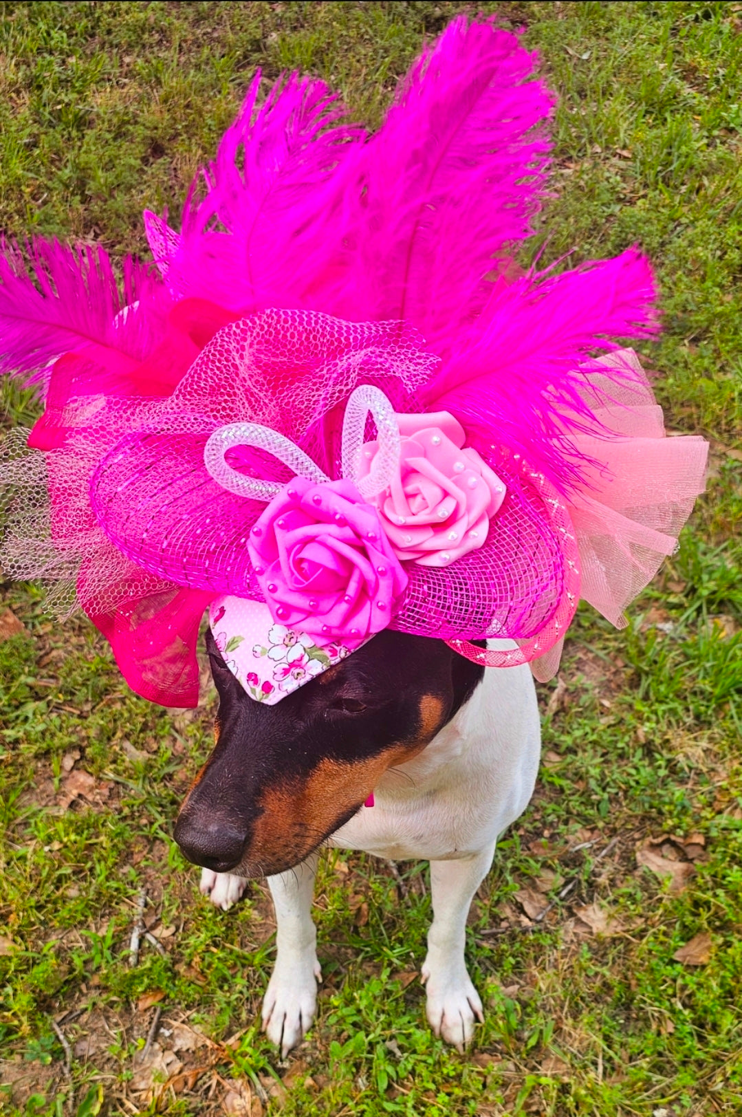 Kentucky Derby flower pet fasinator hat, Kentucky derby Pet Hat, Dog fasinator