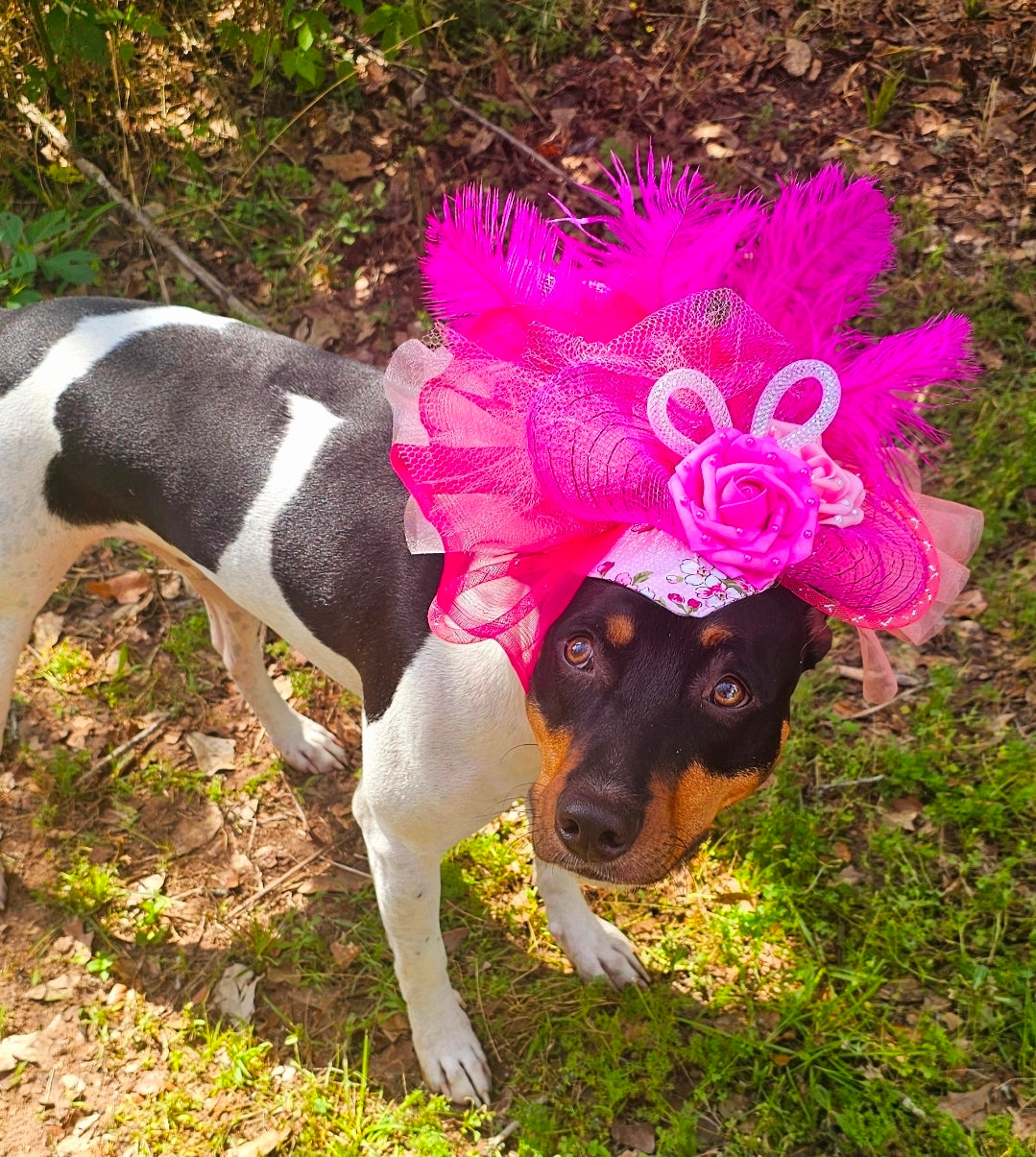 Kentucky Derby flower pet fasinator hat, Kentucky derby Pet Hat, Dog fasinator