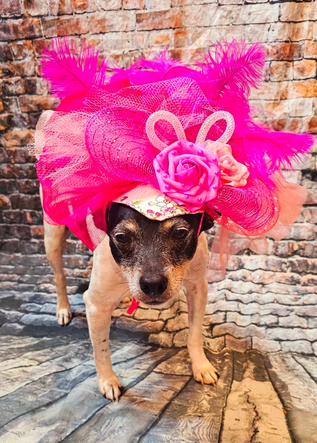 Kentucky Derby flower pet fasinator hat, Kentucky derby Pet Hat, Dog fasinator
