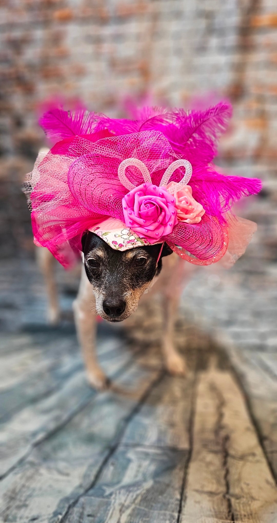 Kentucky Derby flower pet fasinator hat, Kentucky derby Pet Hat, Dog fasinator