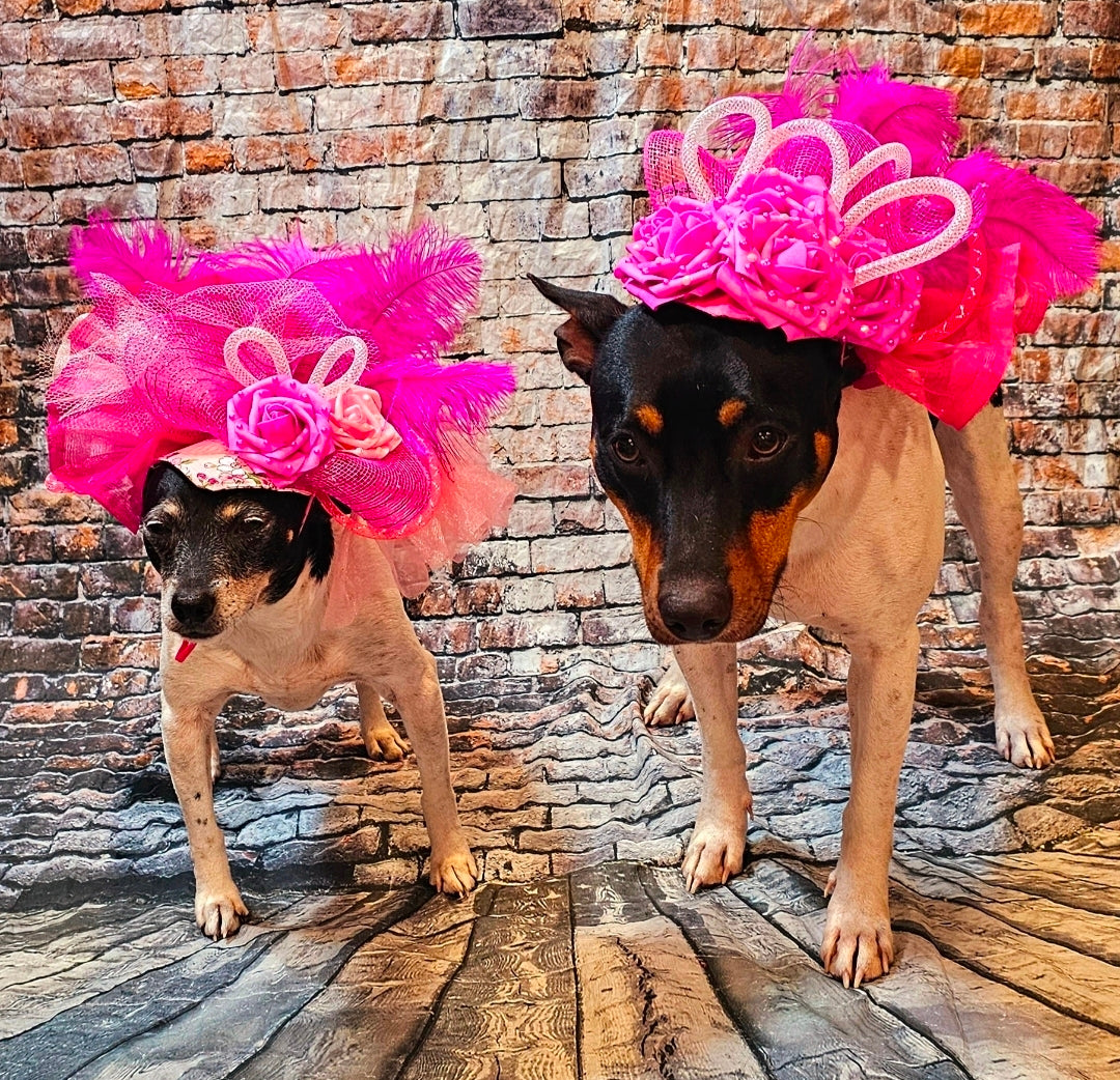 Kentucky Derby flower pet fasinator hat, Kentucky derby Pet Hat, Dog fasinator