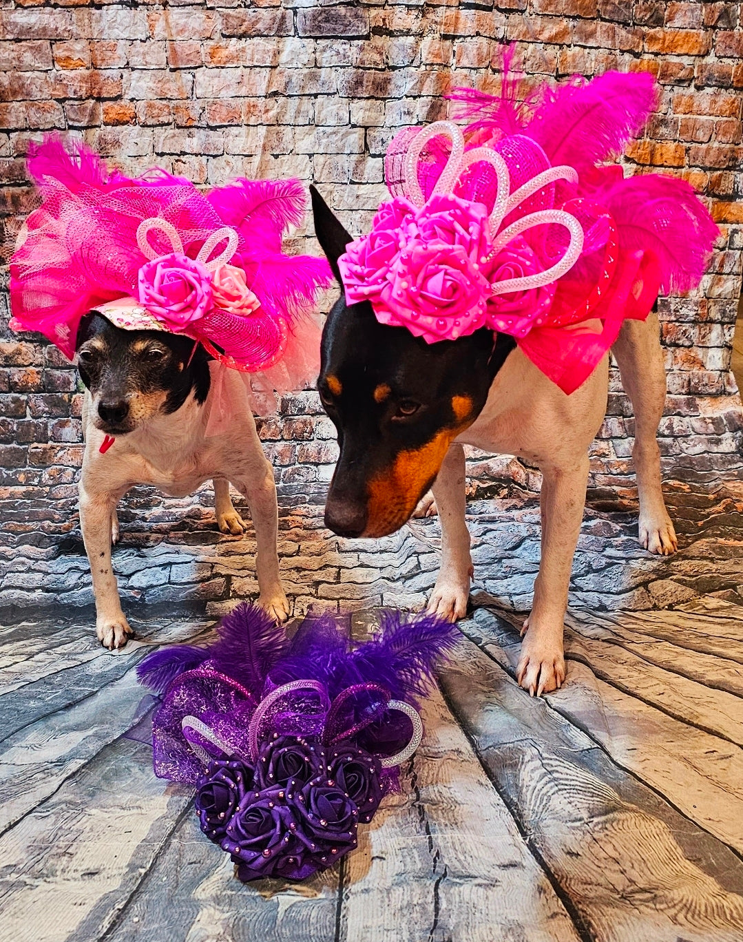 Kentucky Derby flower pet fasinator hat, Kentucky derby Pet Hat, Dog fasinator