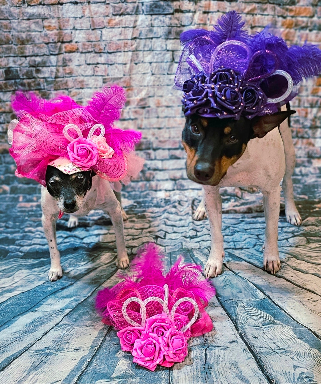 Kentucky Derby flower pet fasinator hat, Kentucky derby Pet Hat, Dog fasinator